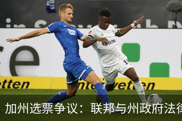 加州选票争议：联邦与州政府法律冲突的审判分析