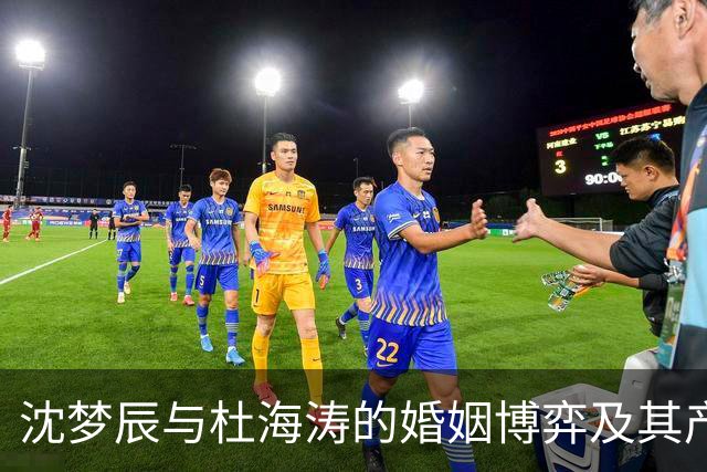 沈梦辰与杜海涛的婚姻博弈及其产业现状分析